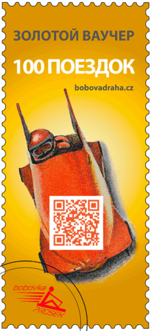 Золотой ваучер на 100 поездок