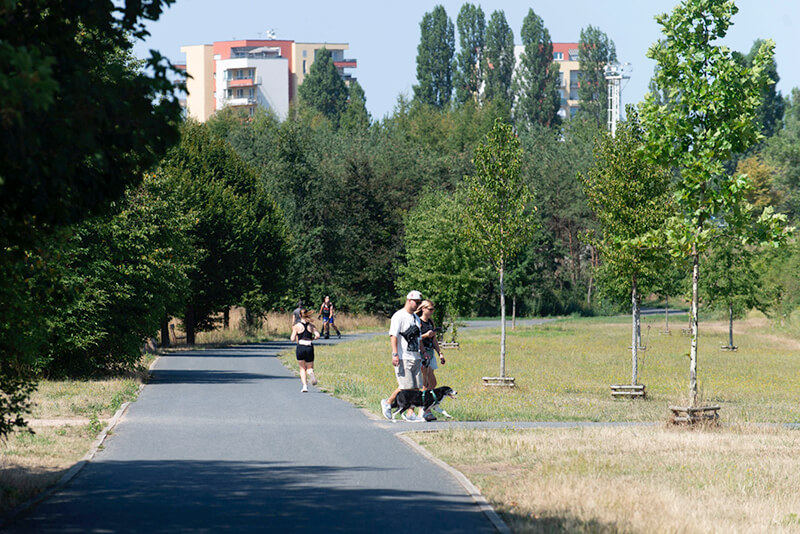 Obrázek 7