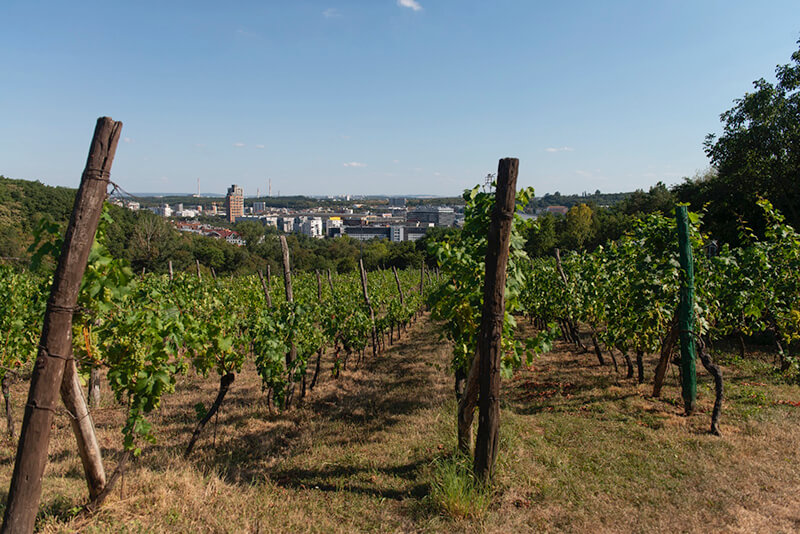Obrázek 4