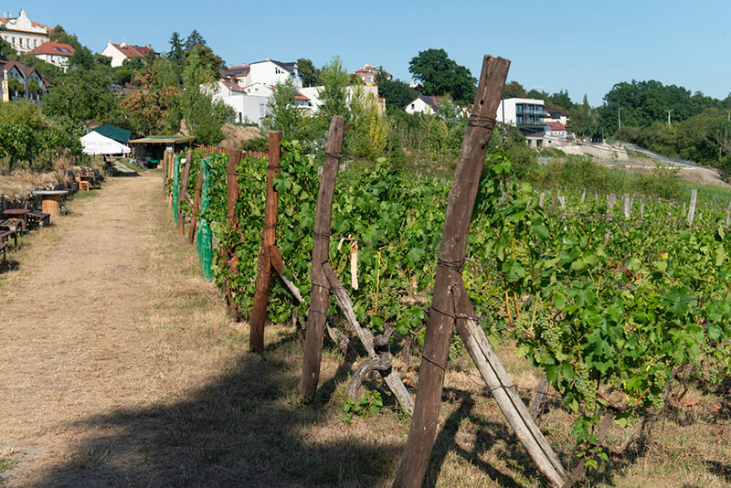 Obrázek 5